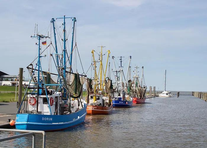 Knechtsand 26 بيت للعطل