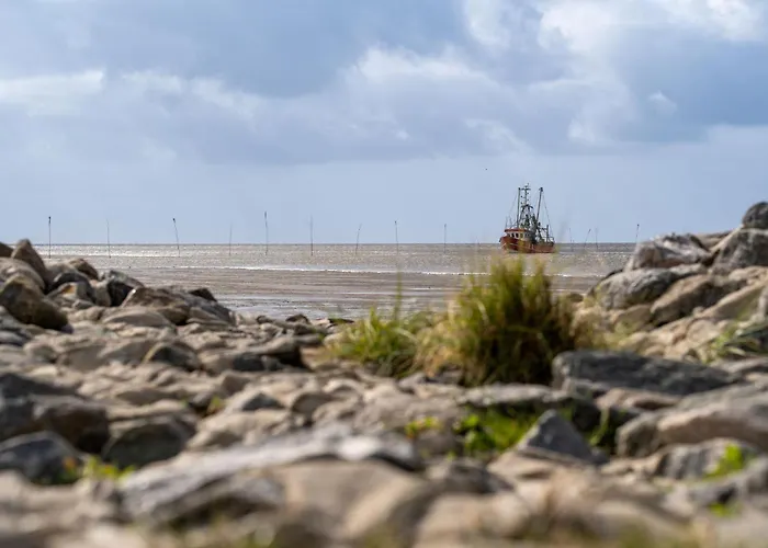 بيت للعطل Knechtsand 26 دورم نيوفيلد